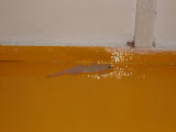 STP60619.JPG