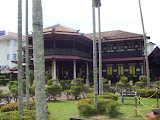 STP60643.JPG