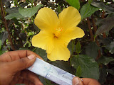 STP60682.JPG