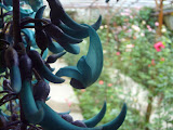 STP60686.JPG
