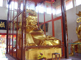 STP60730.JPG