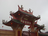 STP60732.JPG