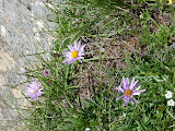 P1010847.JPG