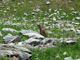 P1010900.JPG