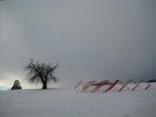 IMG_4818.JPG