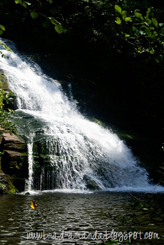 [DSC02143[13].jpg]