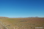 Tour Desierto Florido Extendido – La Serena Chile