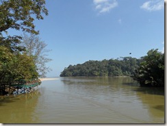 SAM_0411 SAM_0411