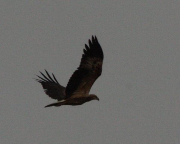 [IMG_65282.jpg]