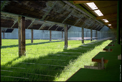 Foto: 50 Meter Kleinkaliberstände