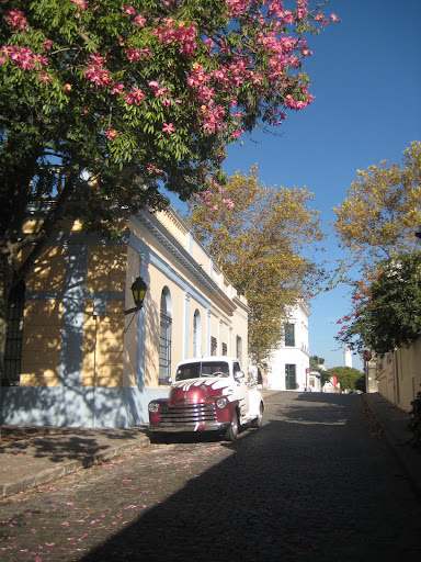 Colonia