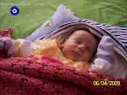 100_5460.jpg