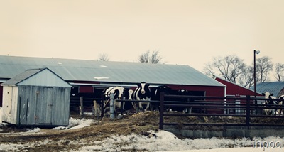 IMG_3749 IMG_3749