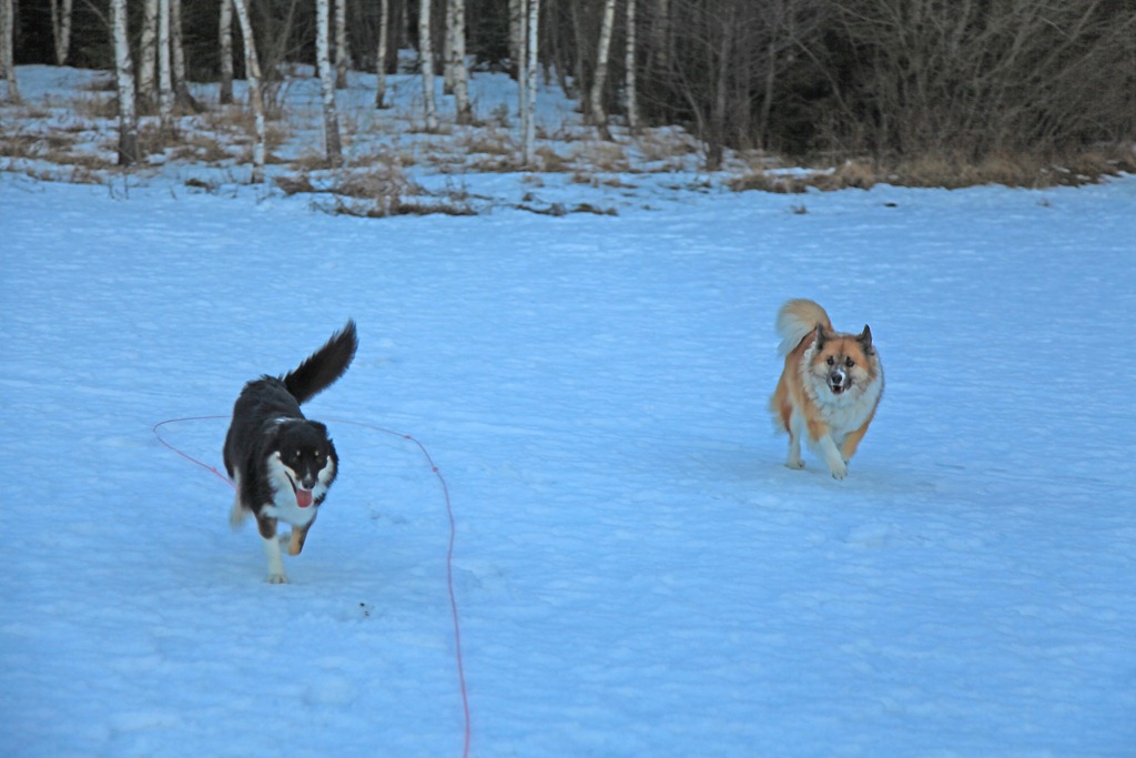 [Helt på jordet_240111_2888[4].jpg]