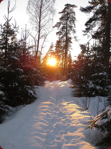 Endelig fredags-tur igjen_110211_3508