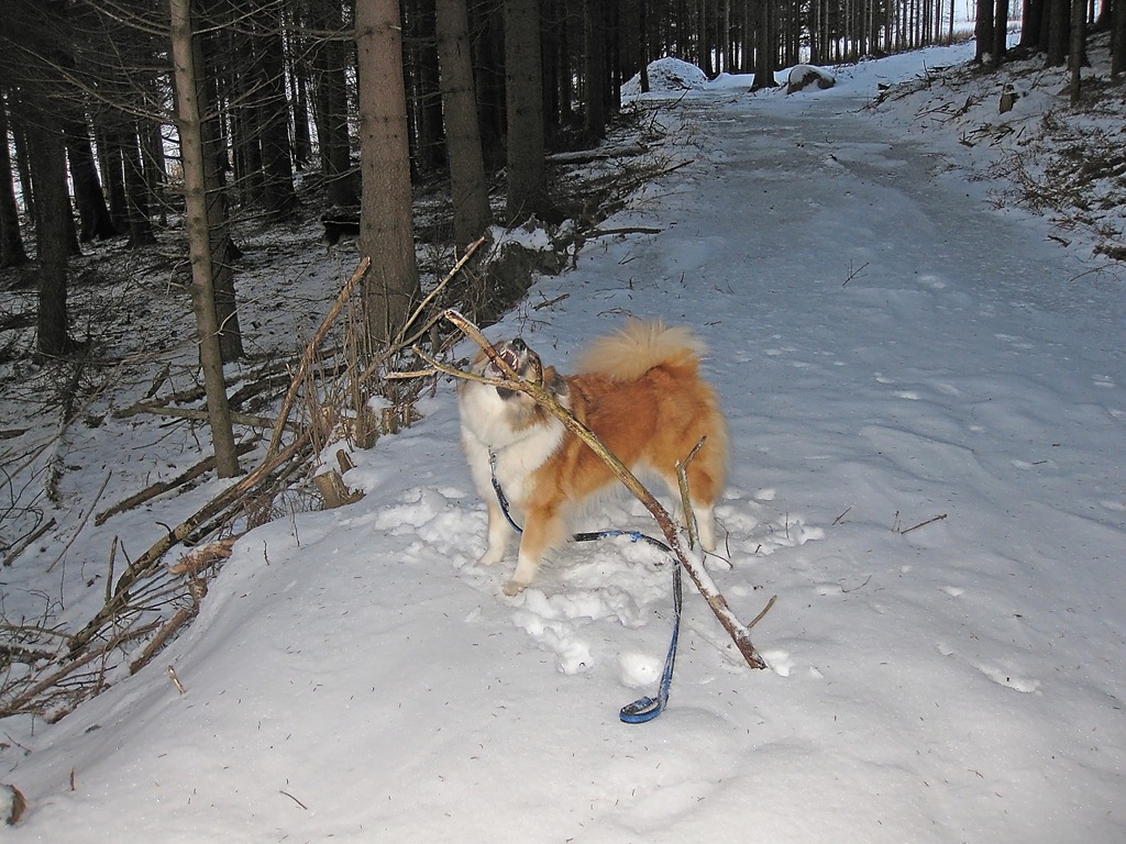 [Endelig fredags-tur igjen_110211_3520[5].jpg]