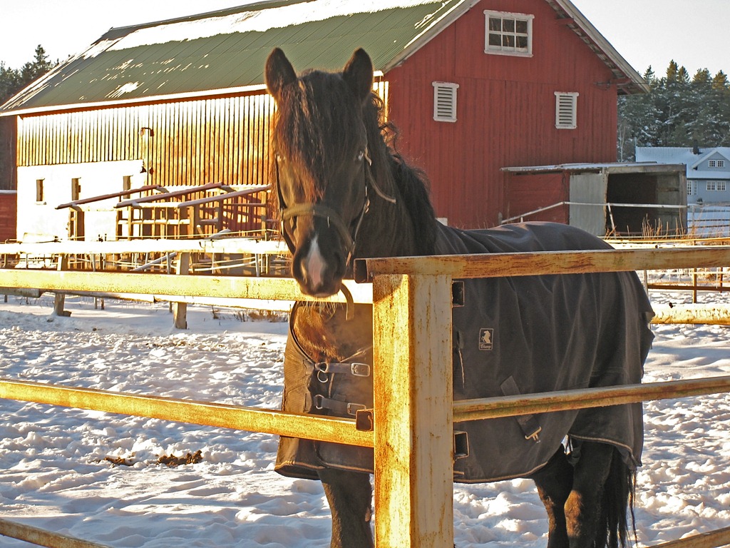 [Endelig fredags-tur igjen_110211_3409[5].jpg]