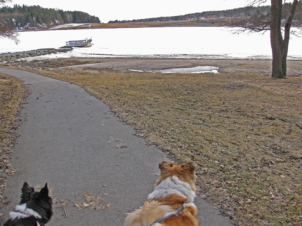 [Vår-tur_280311_4468[4].jpg]