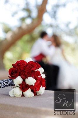 IMG_8197 web