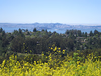 IMG_0293.JPG