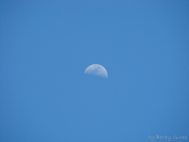 [05-20-10 moon 2[2].jpg]