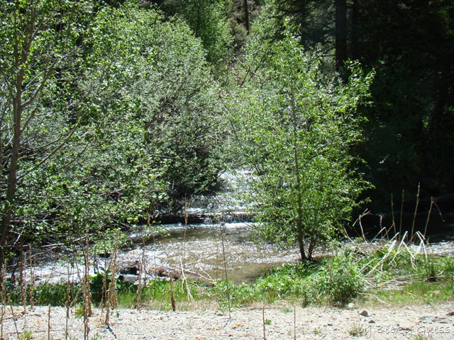 [06-05-10 Red River Columbine Campground 10[2].jpg]