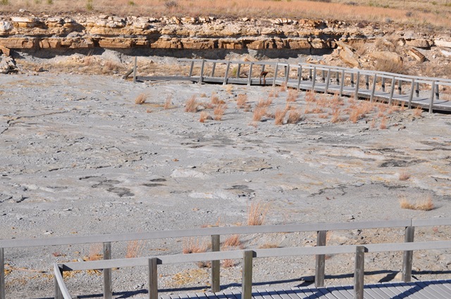 [12-28-10 trip to Clayton Lake dinosaur prints 32[2].jpg]