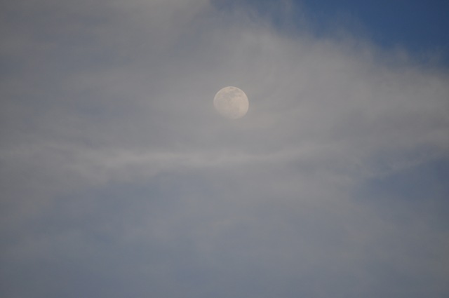 [02-15-11 moon 06[2].jpg]