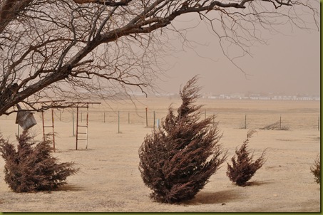 02-27-10 Dirty wind 01