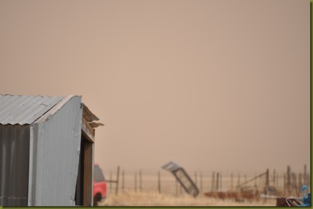 02-27-10 Dirty wind 08