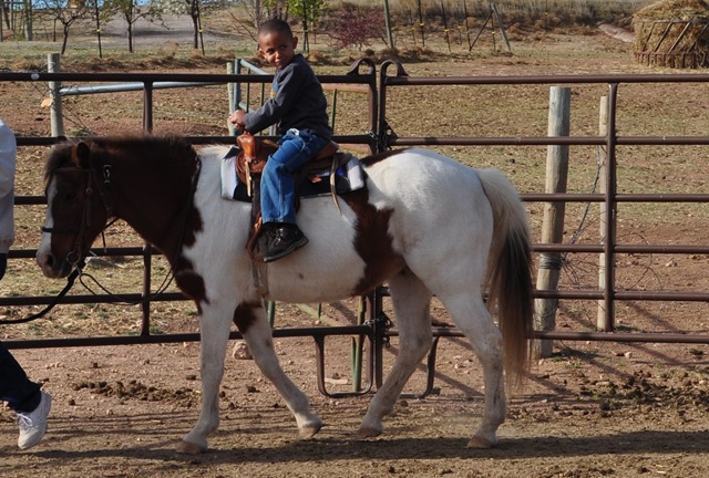 [03-31-11 farm visit 63[3].jpg]