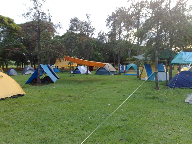 [011120093009[4].jpg]