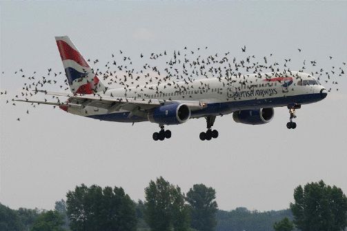 Incredible and Beautiful Photographs of Aviation, Airplanes, Jets, and Flying