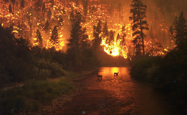 Picture taken by Alaska smokejumper John McColgan in Montana in 2000