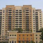 bldg.jpg