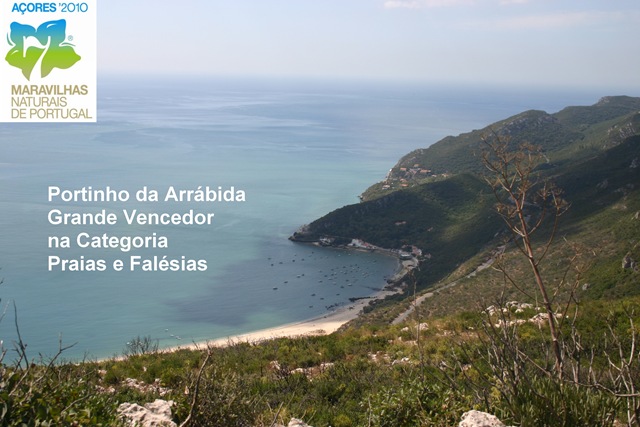 [Grande Vencedor[5].jpg]