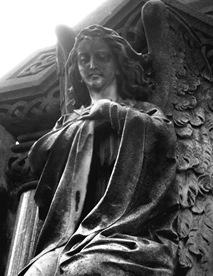P1130466a