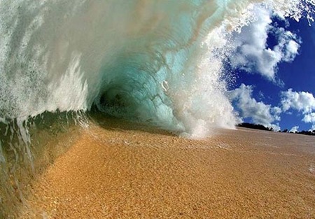 Wave4 Wave4