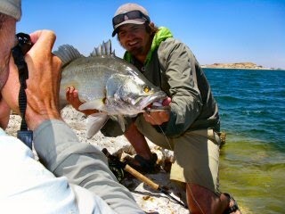 [blog_april_24_2010_6[2][4].jpg]