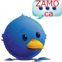 Follow Zamolxis on Twitter Icon