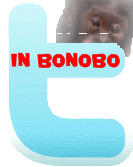 Follow InBonobo on Twitter Icon