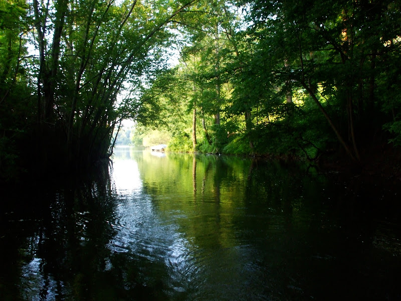 DSCF6439.JPG