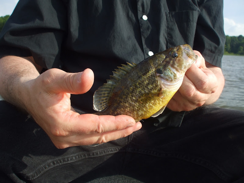 DSCF6546.JPG
