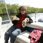 Manatee Kiefer und Hand