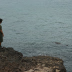 Simon und der Seelöwe bestaunen sich