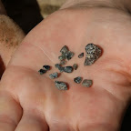 Guggsch du! So viele schöne Steine für einen Tag Arbeit! (genauso schlammig wie die Steine sind wir selber auch)