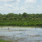 Kakadu Nationalpark: Dürre, trockene Ebene? Nix da, die Regenzeit beginnt dieses Jahr wohl früh.