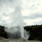 Lady Knox Geyser