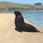 Guggsch du - ich bin aber nicht aus dem Zirkus