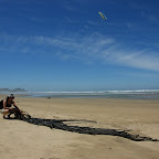 Seetang - ob man das wohl essen kann?